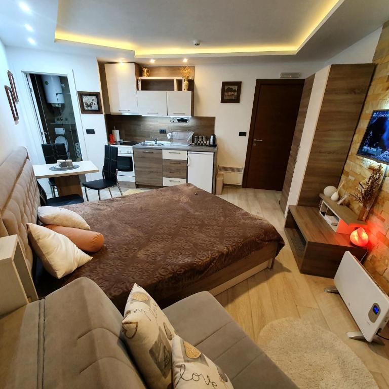 MIPS Milmari Resort Kopaonik - Family Studio - 5