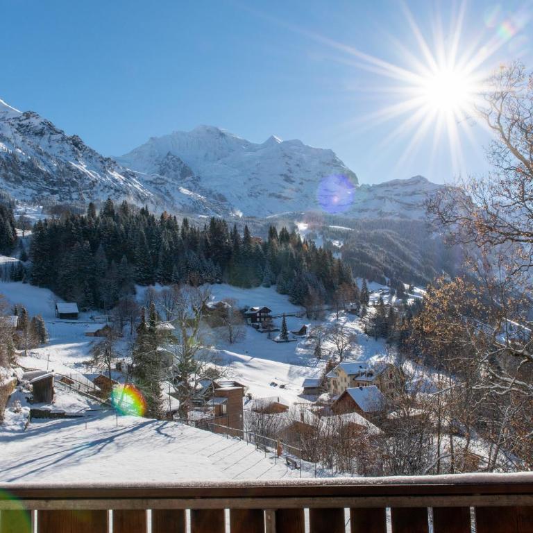 Chalet Margaux Penthouse - Penthouse-Apartment - 42