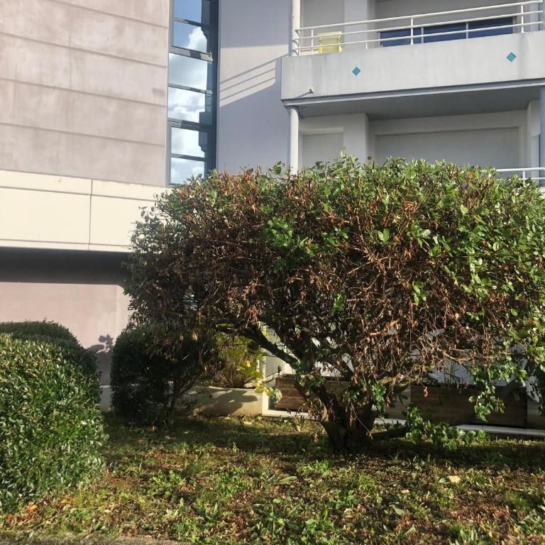 Le Carré des Vosges Vannes centre avec terrasse, parking privatif, Wifi - Appartamento con 1 Camera da Letto - 14