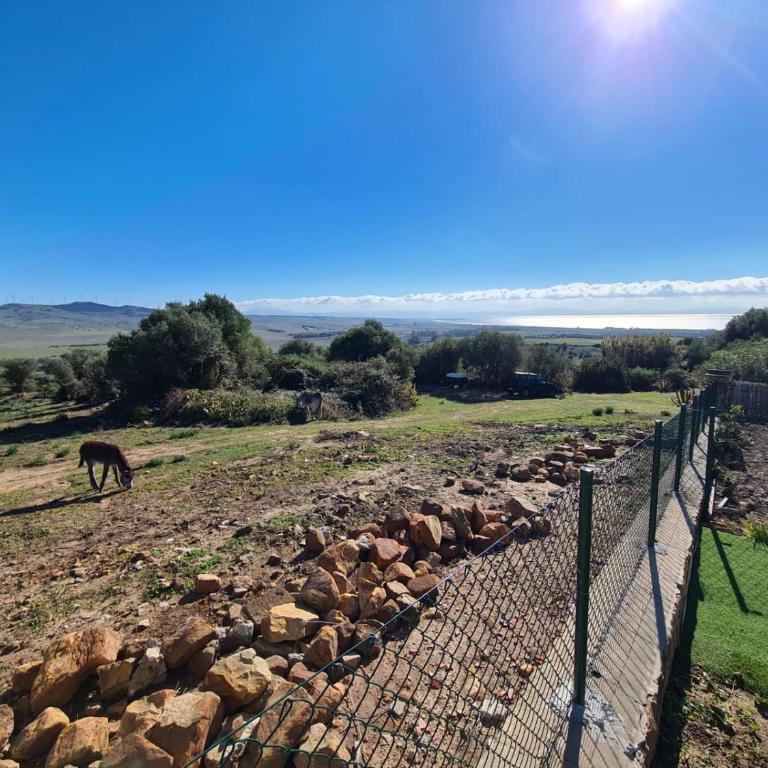 Rancho Blanco Tarifa La peña - Casa de 3 dormitorios - 16