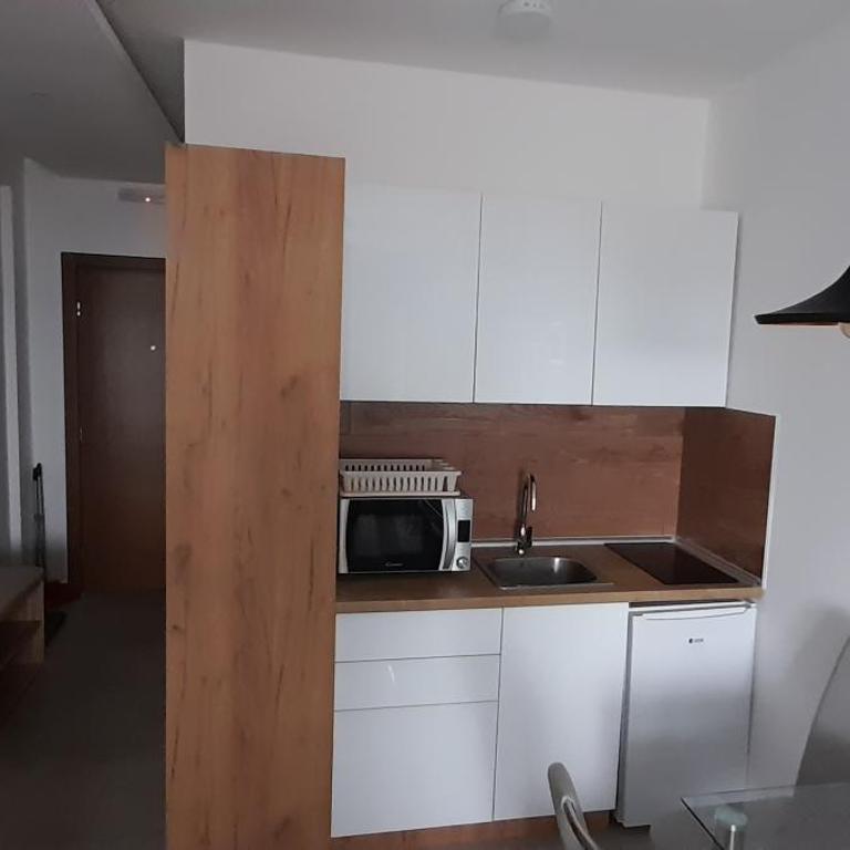 Apartman Milmari Vujic P23 and P26 - Studio with Mountain View - 11