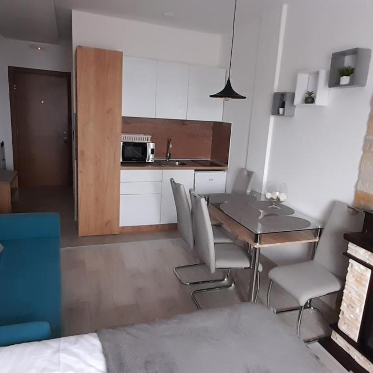Apartman Milmari Vujic P23 and P26 - Studio with Mountain View - 5