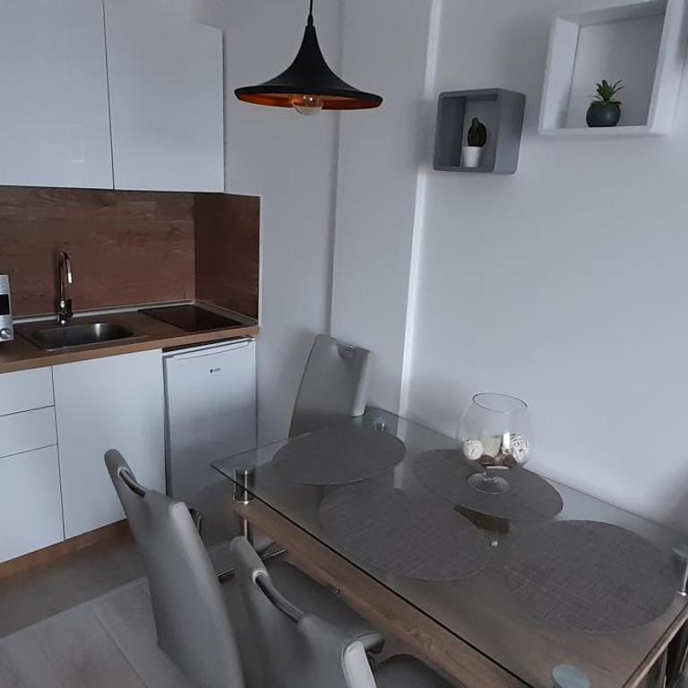 Apartman Milmari Vujic P23 and P26 - Studio with Mountain View - 10