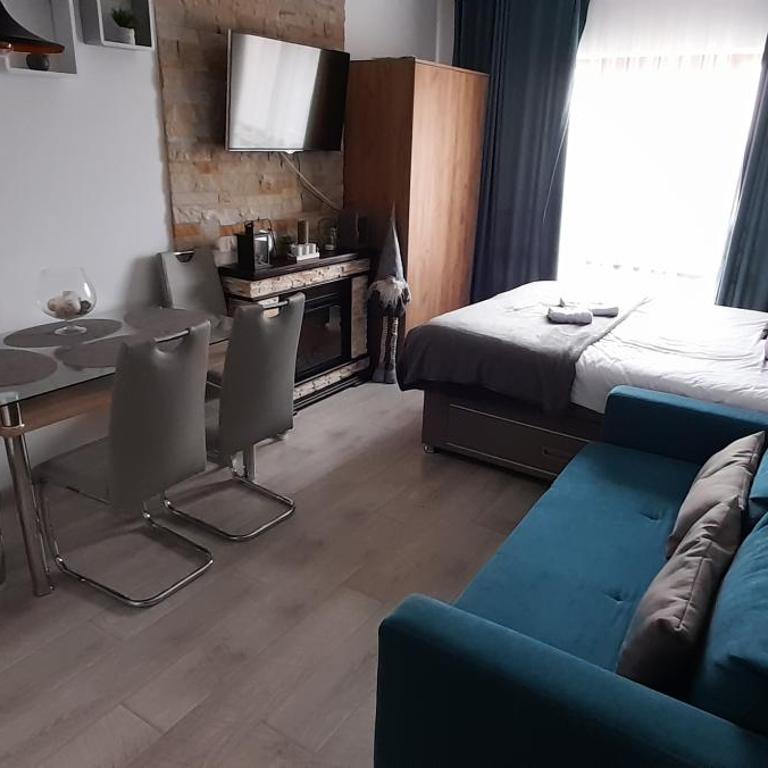 Apartman Milmari Vujic P23 and P26 - Studio with Mountain View - 13