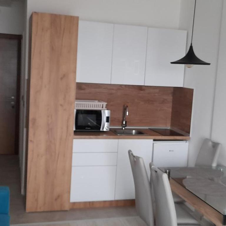 Apartman Milmari Vujic P23 and P26 - Studio with Mountain View - 16