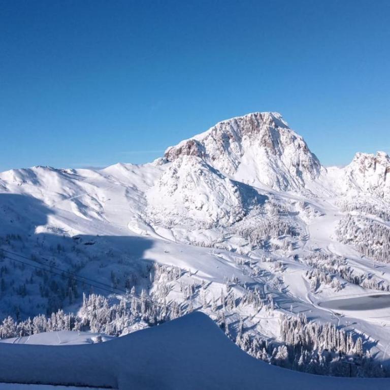 Luxury Chalet Mauthner Alm - Haus mit 4 Schlafzimmern - 21