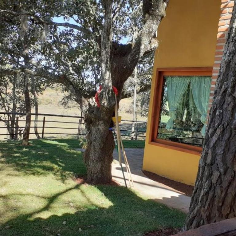 Cabaña Verito - Casa de 4 dormitorios - 22