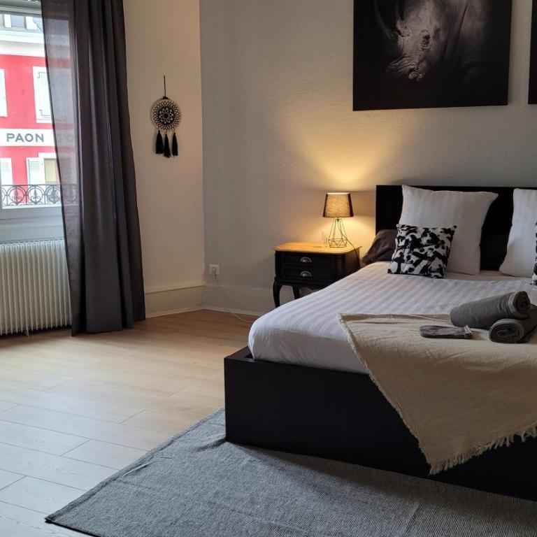 COLMAR Centre VILLE 6 couchages 3 grandes chambres - Apartment mit 3 Schlafzimmern - 12