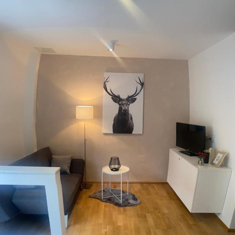 Appartement in Graz-Geidorf - Apartment mit 1 Schlafzimmer - 1
