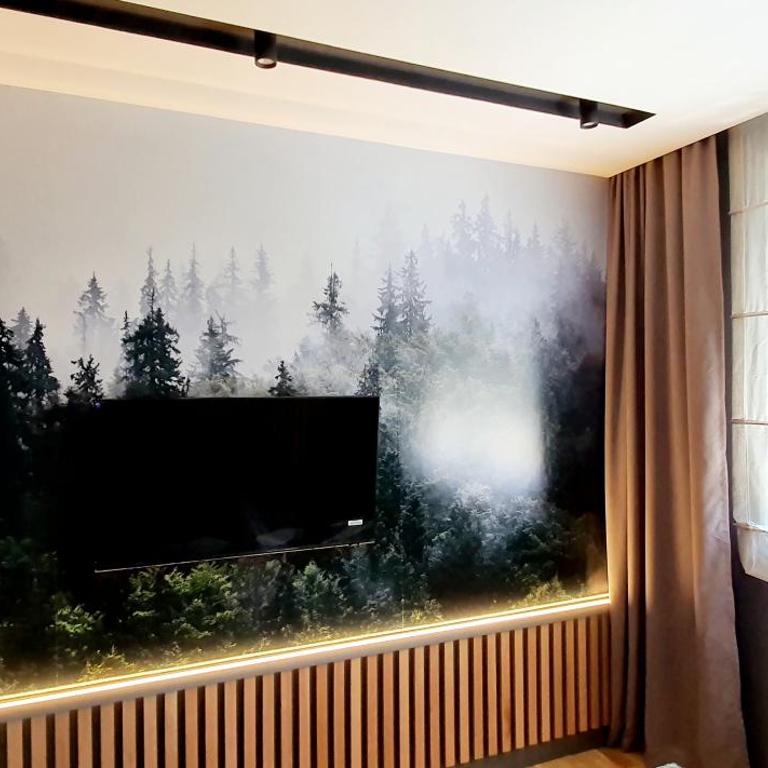 Modern Mountain - Apartment Najomi - Apartman sa 1 Spavaćom Sobom - 11