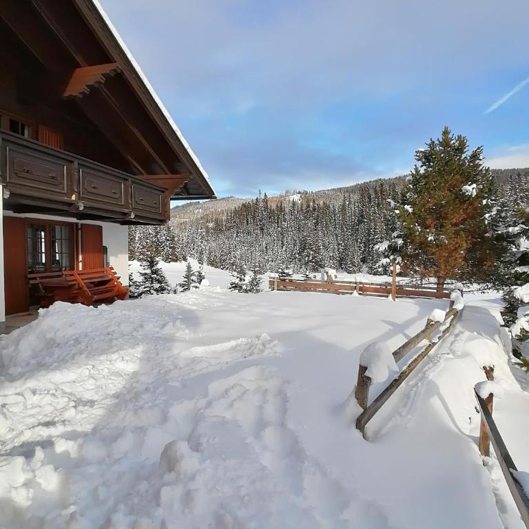 Almhaus Kärnten Flattnitz - Ferienhaus - 31