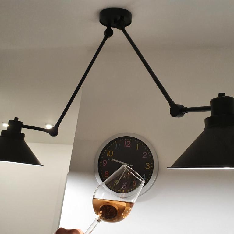 Voždov konak - Apartman sa 1 Spavaćom Sobom - 12