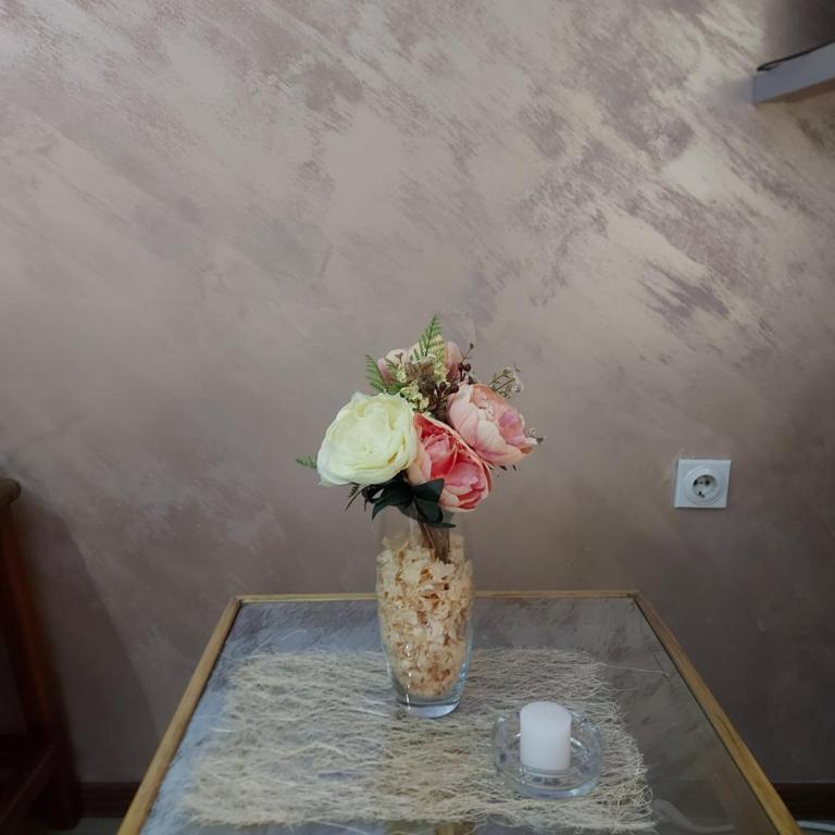 Apartmani Neca - One-Bedroom Apartment - 11