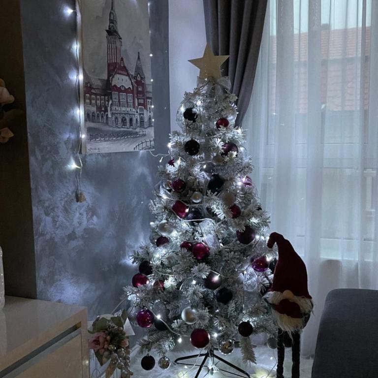 Apartman MDB LUX - Apartman sa 2 Spavaće Sobe - 39