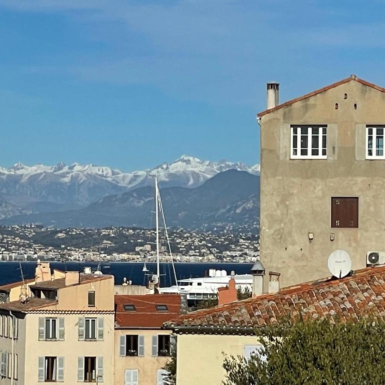Nice Renting - MASSENA - LOFT - HEART of VIEIL ANTIBES - THE MARKET WITH SEA VIEW - Appartement 1 Chambre - 4