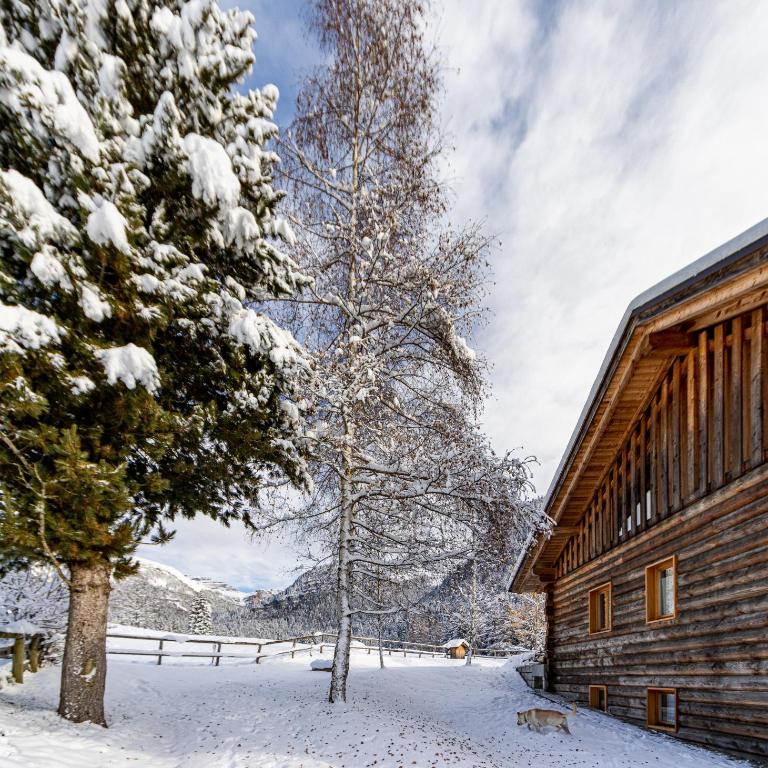 Nido del Brenta - Chalet con 3 Camere da Letto - 8