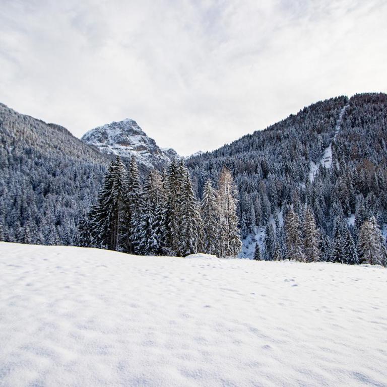 Nido del Brenta - Chalet con 3 Camere da Letto - 51