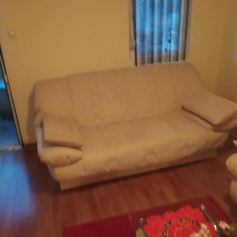 Apartman Arsenijevic - Apartman sa 1 Spavaćom Sobom - 21