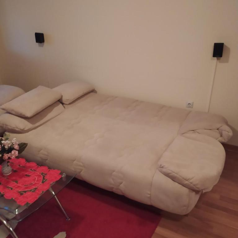 Apartman Arsenijevic - Apartman sa 1 Spavaćom Sobom - 37