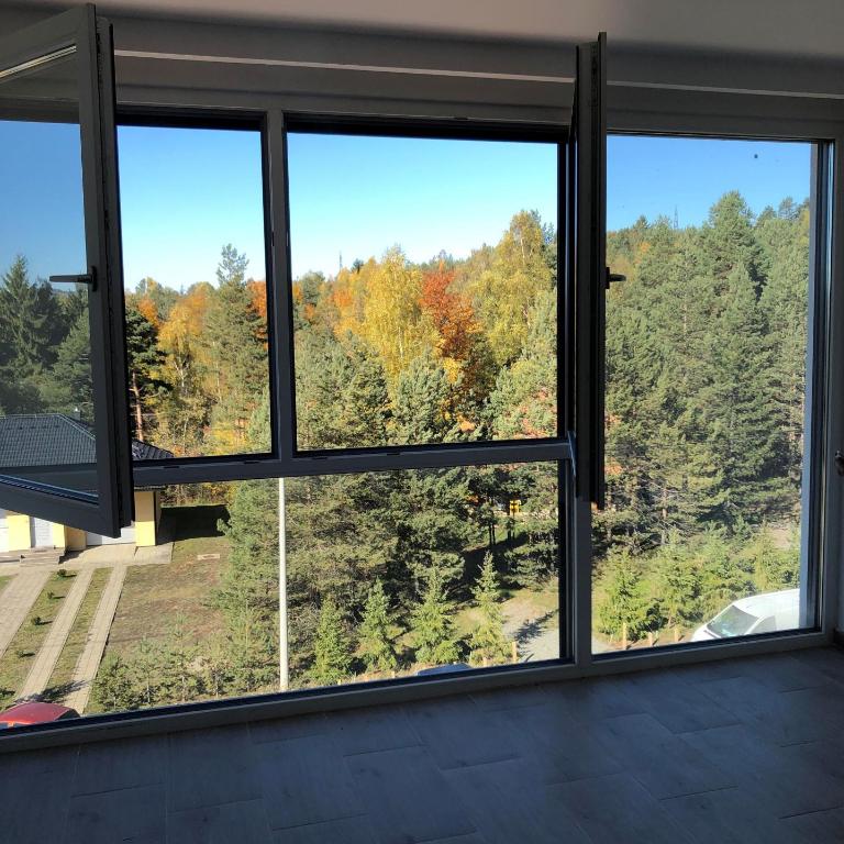 Apartman Ambijent Divcibare - Deluks Studio sa Queen Krevetom - 37