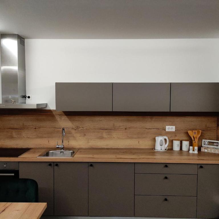 Apartman Grudvica - Two-Bedroom Apartment - 2