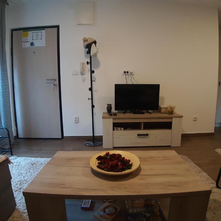 Ajrin Apartman Kopaonik - One-Bedroom Apartment - 6