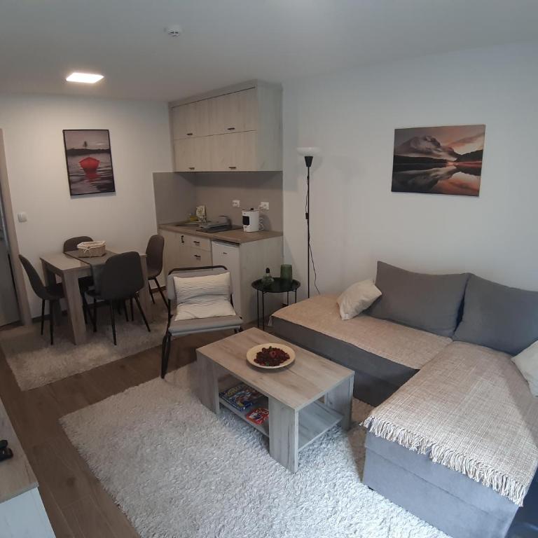 Ajrin Apartman Kopaonik - One-Bedroom Apartment - 2