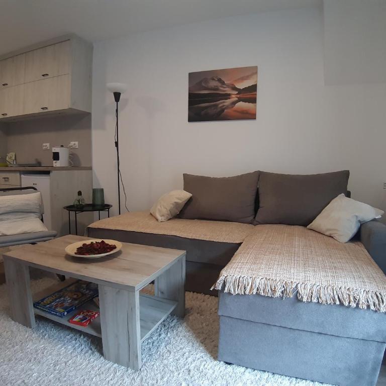 Ajrin Apartman Kopaonik - One-Bedroom Apartment - 4