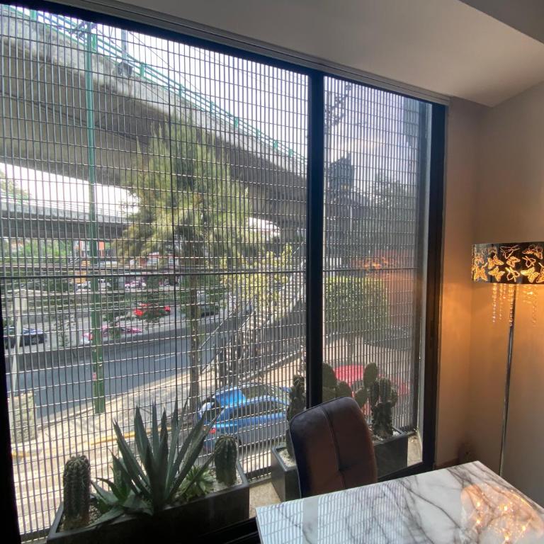 Departamento para Ejecutivos en el Sur de la CDMX - Apartamento de 2 dormitorios - 4