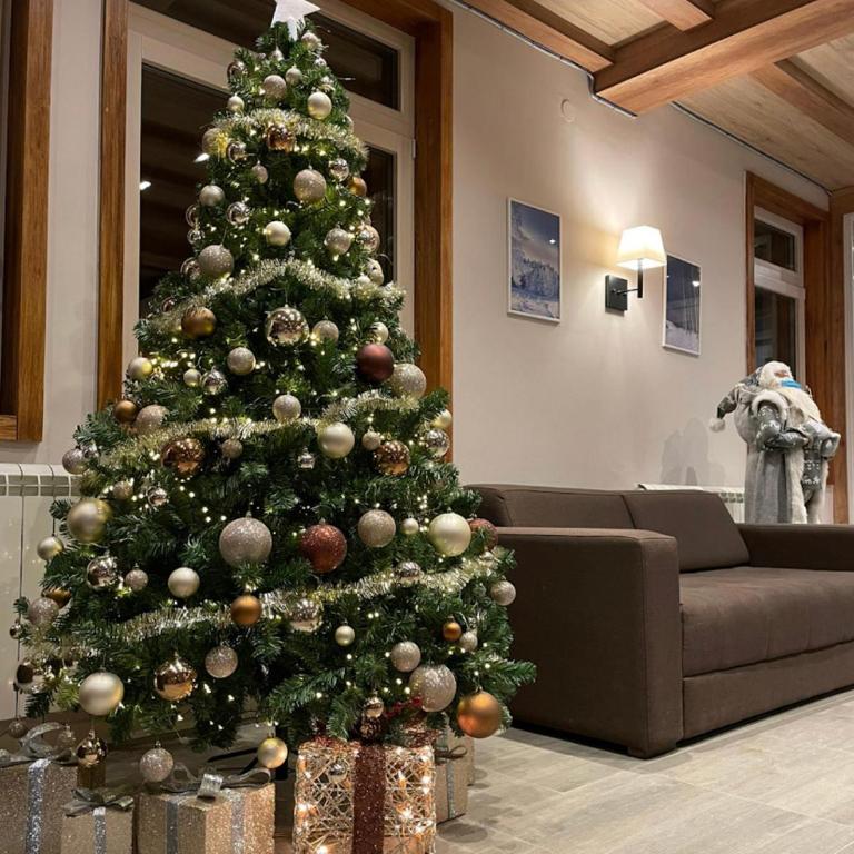 Apartman Sky View, Župa Wellness & Spa u Centru Kopaonika - One-Bedroom Apartment - 16