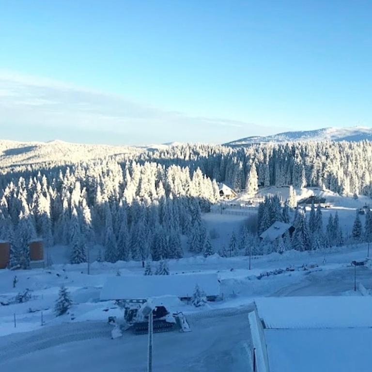 Apartman Sky View, Župa Wellness & Spa u Centru Kopaonika - One-Bedroom Apartment - 5