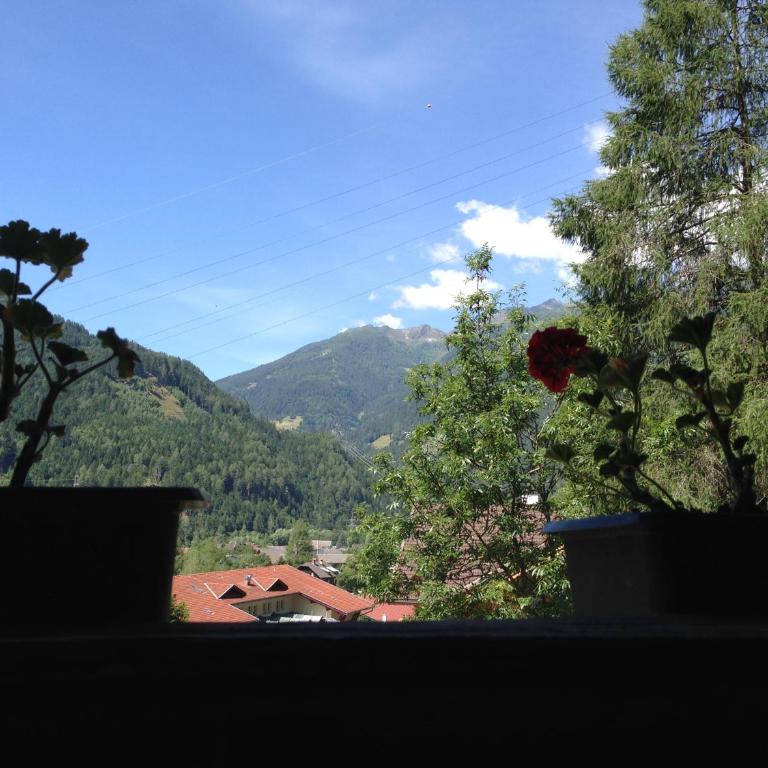 Ferienhaus Pirker - Appartamento con 2 Camere da Letto - 27