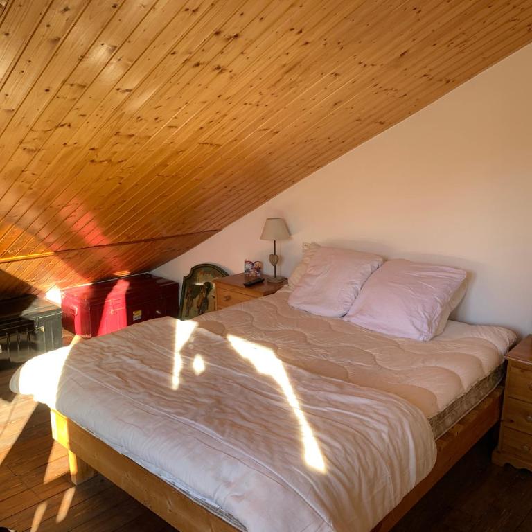 Chalet Auris - Superior Chalet - 10