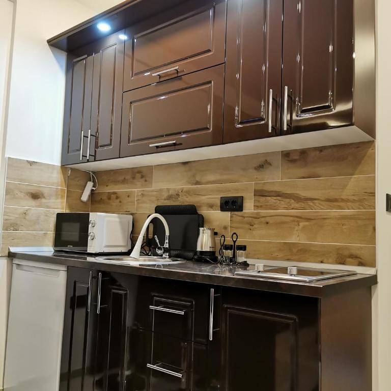 Kopaonik apartmani NR - One-Bedroom Apartment - 25