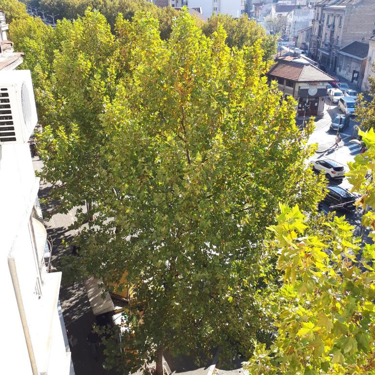 cozy hikers flat - Apartman sa Balkonom - 39