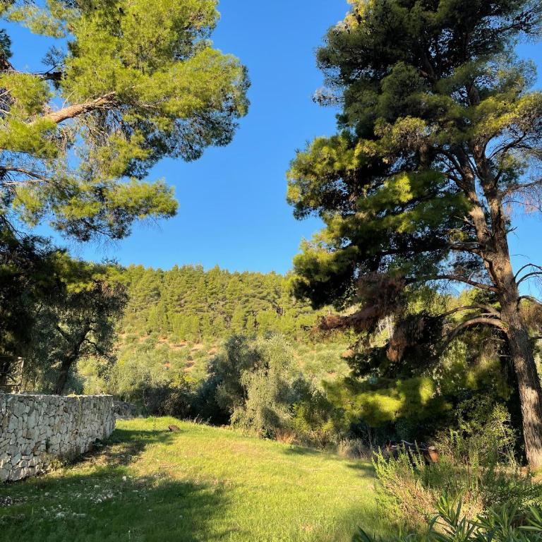 Novecento Country House - Appartamento con 1 Camera da Letto - 17