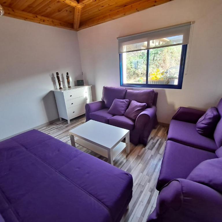 Tenerife apartment 100m2 CASA DE DON QUIJOTE with a terrace of 100m2 with a view of the ocean and Teide volcano and a garden of 600m2 - Two-Bedroom Apartment - 3