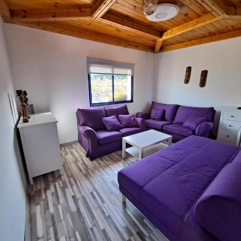 Tenerife apartment 100m2 CASA DE DON QUIJOTE with a terrace of 100m2 with a view of the ocean and Teide volcano and a garden of 600m2 - Two-Bedroom Apartment - 8