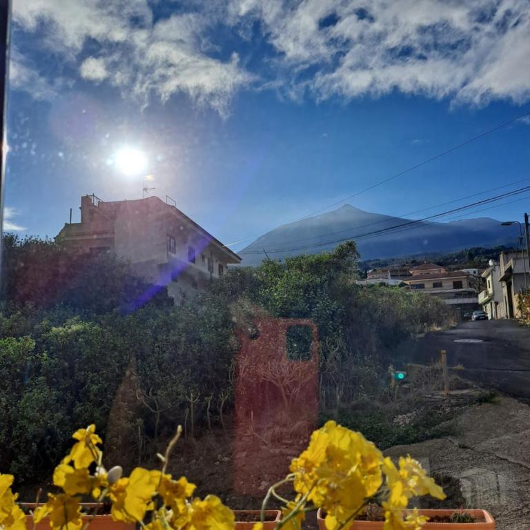 Tenerife apartment 100m2 CASA DE DON QUIJOTE with a terrace of 100m2 with a view of the ocean and Teide volcano and a garden of 600m2 - Two-Bedroom Apartment - 17