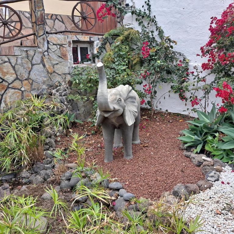Tenerife apartment 100m2 CASA DE DON QUIJOTE with a terrace of 100m2 with a view of the ocean and Teide volcano and a garden of 600m2 - Two-Bedroom Apartment - 18