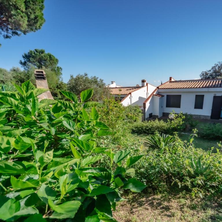 Villa Nicola - Three-Bedroom House - 19
