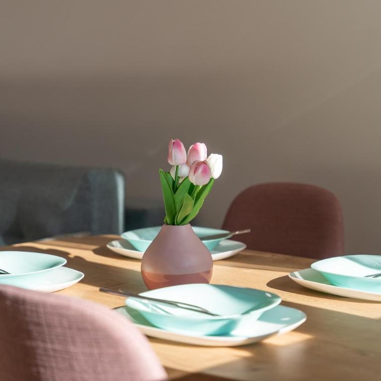 Apartman Prima Plus - Apartman sa 2 Spavaće Sobe - 8