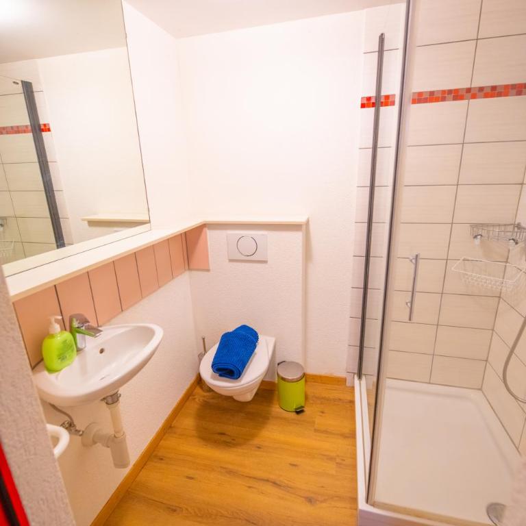 City Center Holiday Apartment - Apartment - Erdgeschoss - 4