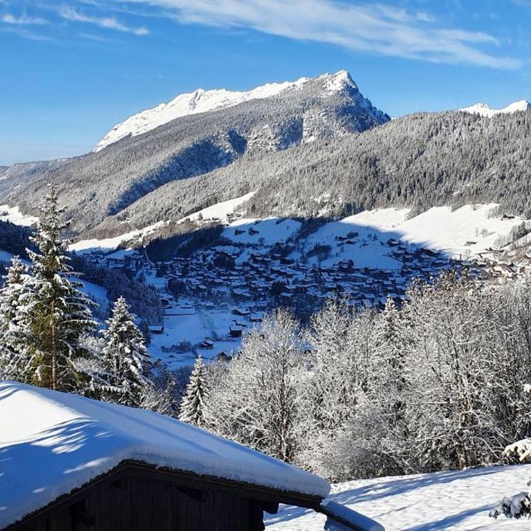 Chalet Socali Le Grand Bornand - Two-Bedroom Chalet - 16