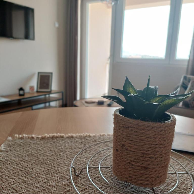 M Apartments - Apartman sa Terasom - 28