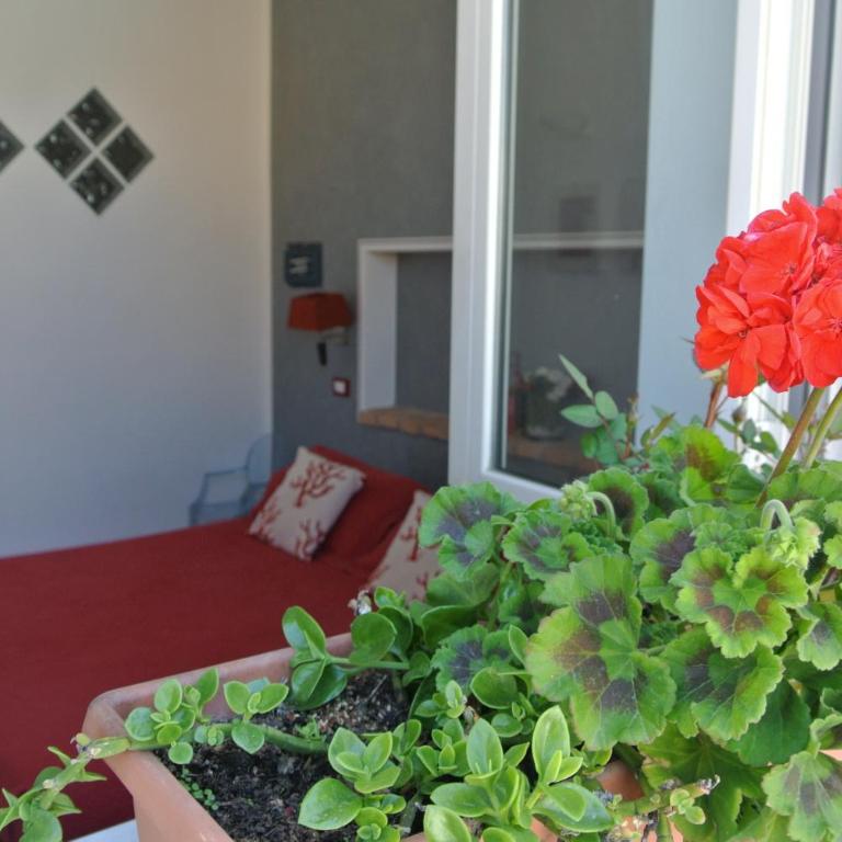 Marina Di Castello - Deluxe Room - 1