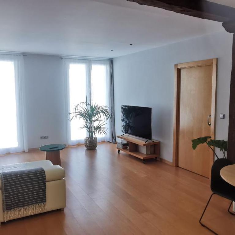 céntrico Apartamento Elai, - Apartamento de 1 dormitorio - 25