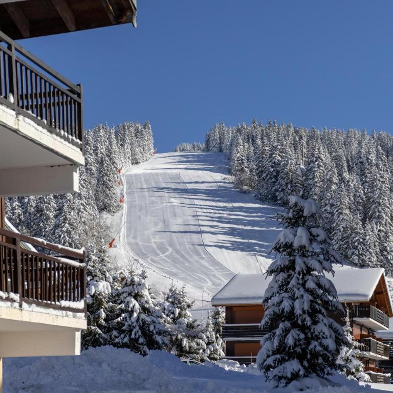 Les Alpages 73 - Les Saisies - Apartment mit Blick auf die Berge - 15