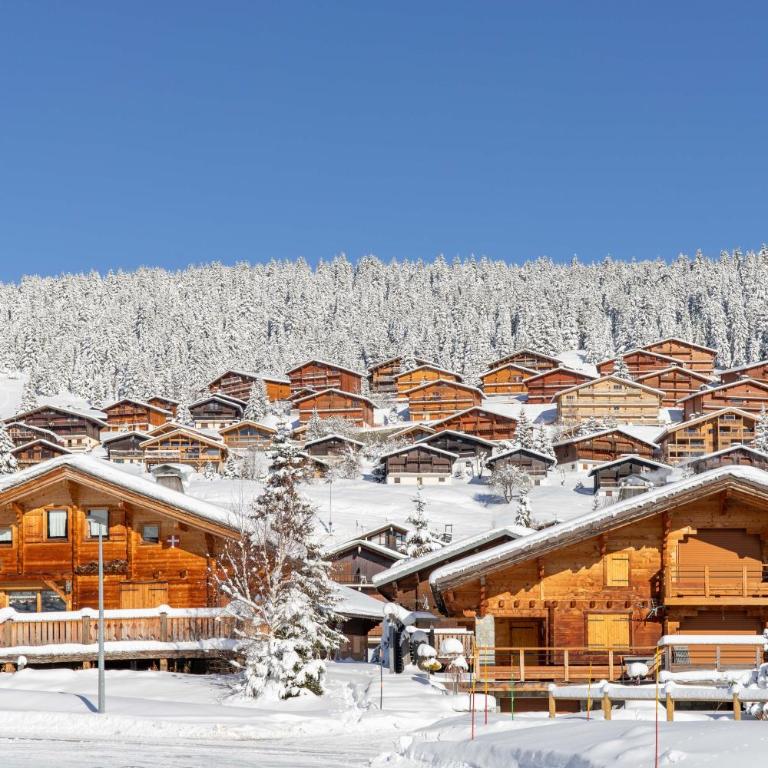 Les Alpages 73 - Les Saisies - Apartment mit Blick auf die Berge - 16
