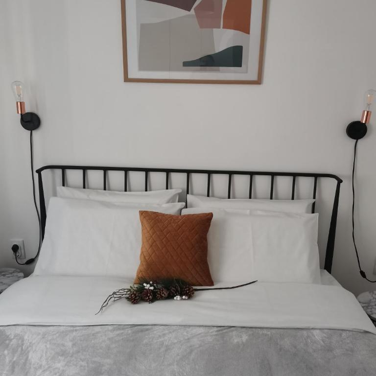 Apartman Kardaš - Apartman sa 1 Spavaćom Sobom - 16